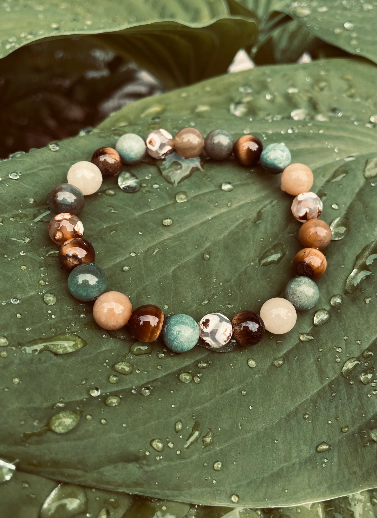 Horoscope Collection