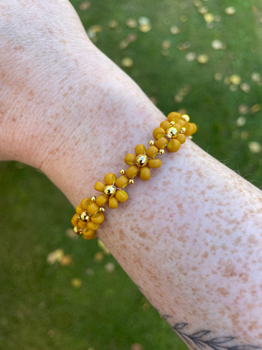 Daisy sunflower yellow